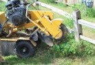 Rocky Campstump-grinding-services-3.jpg; ?>